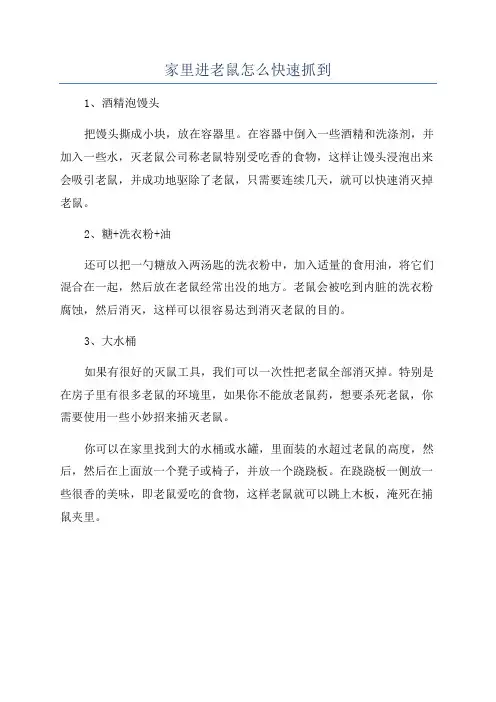 家里进老鼠怎么快速抓到