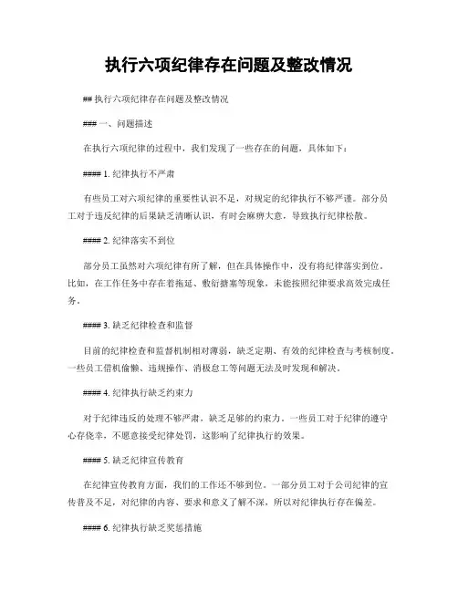 执行六项纪律存在问题及整改情况