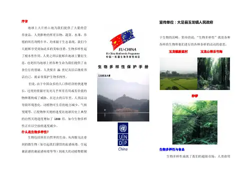 中国欧盟生物多样性项目重庆示范项目-玉龙镇宣传折页