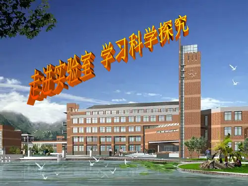 初中物理八年级上册-1.1 走进实验室 学习科学探究 课件