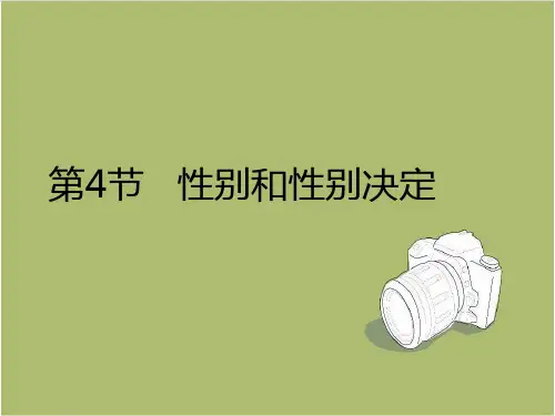 八年级生物上册第20章第4节性别和性别决定 (课件)