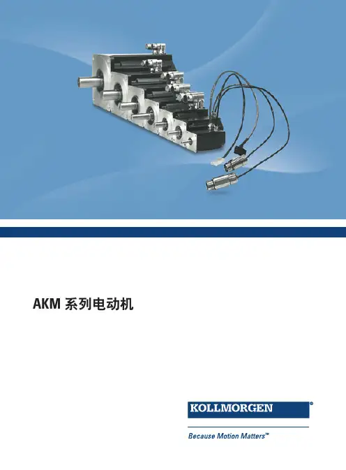 AKM系列伺服电机