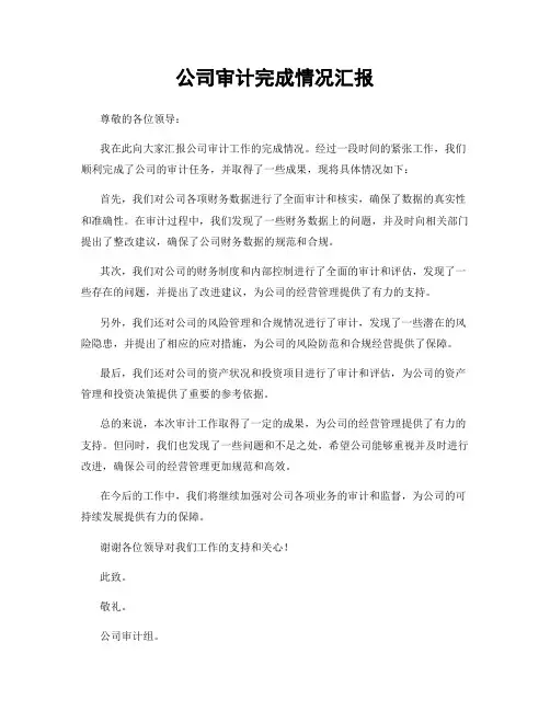 公司审计完成情况汇报