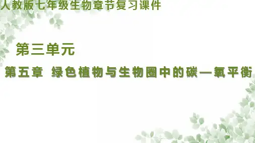 第三单元第五章 绿色植物与生物圈中的碳—氧平衡(复习课件)七年级生物上册(人教版)