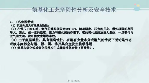 工业分析技术专业《氨基化工艺危险性分析及安全技术》