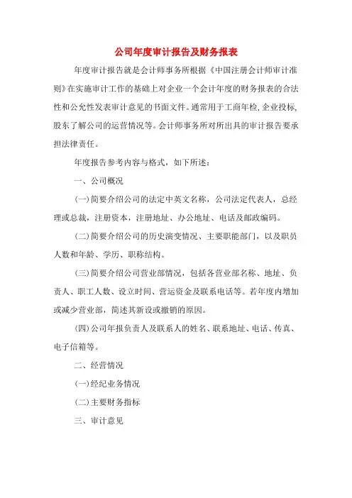 公司年度审计报告及财务报表