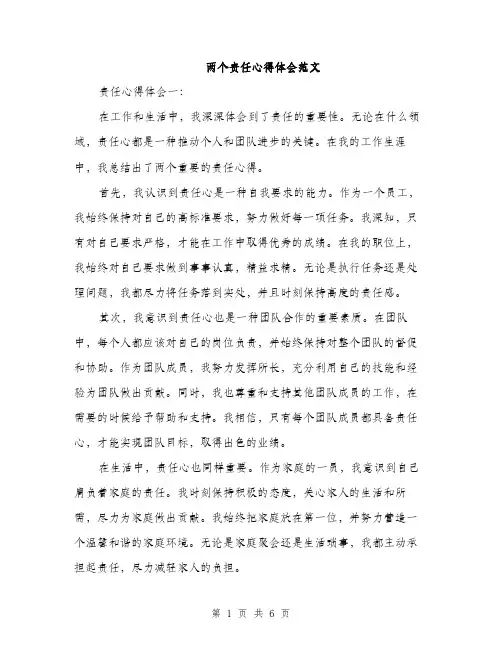 两个责任心得体会范文(二篇)