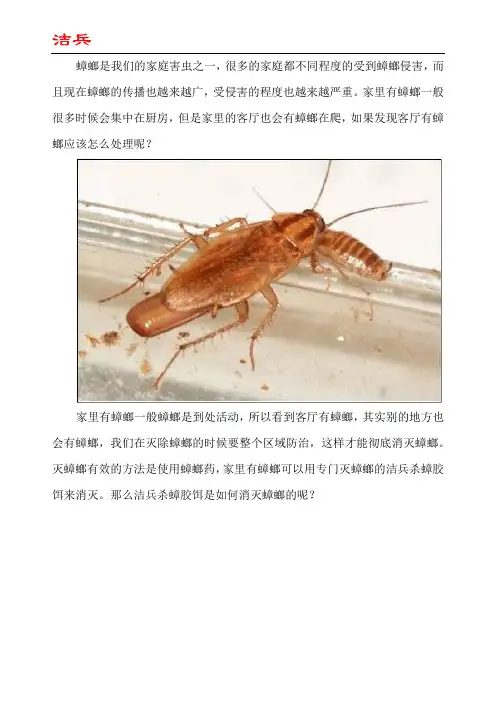 客厅有蟑螂怎么处理