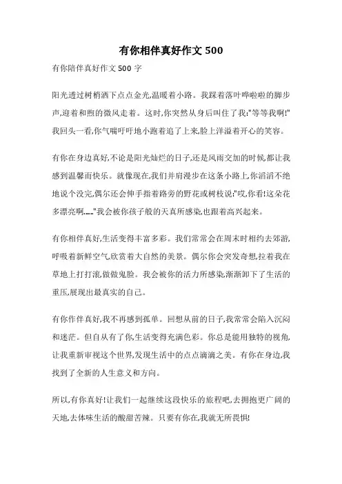 有你相伴真好作文500