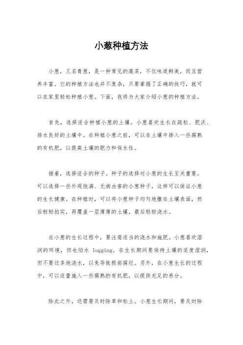 小葱种植方法