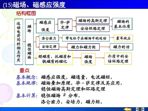 磁场、磁感应强度_2023年学习资料
