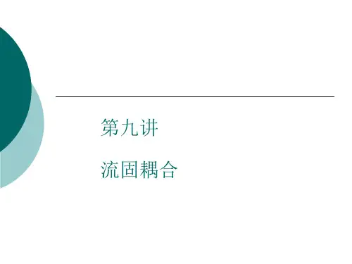 第九讲 流固耦合