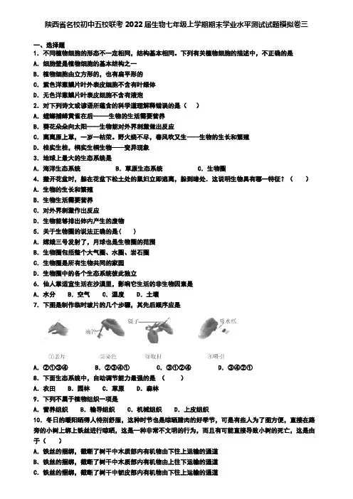 陕西省名校初中五校联考2022届生物七年级上学期期末学业水平测试试题模拟卷三