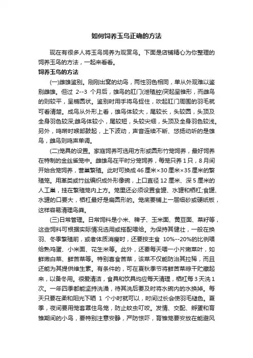 如何饲养玉鸟正确的方法