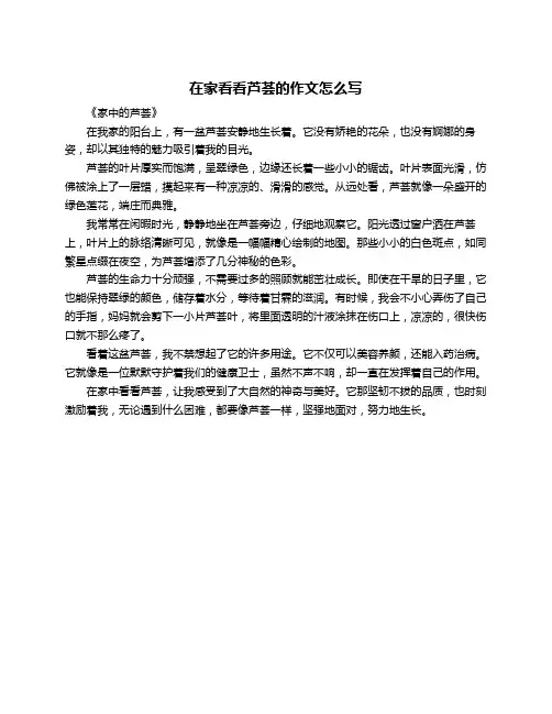 在家看看芦荟的作文怎么写