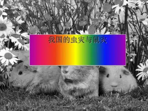 我国虫灾与鼠灾 PPT课件 湘教版