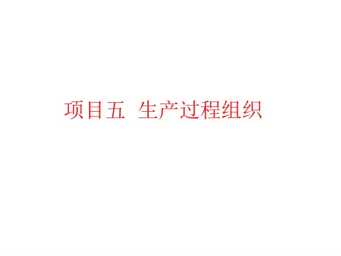 生产过程组织5