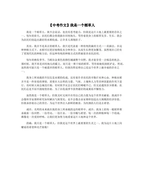 【中考作文】我是一个稻草人