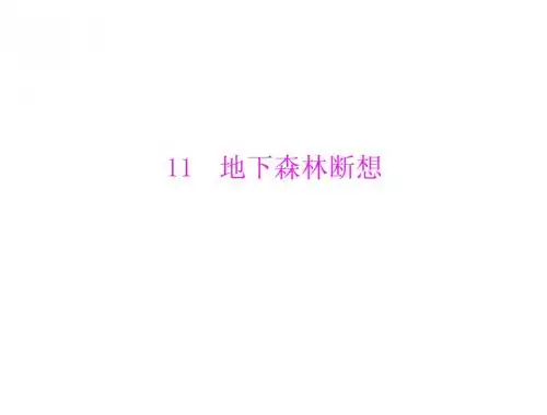 初三语文复习  第3单元  第11课  地下森林断想 优质课件(人教版九下)