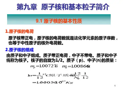 第九和第十章原子核和基本粒子简介及总复习PPT课件