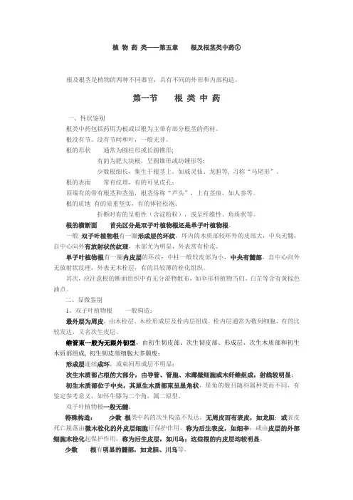 中药鉴定学-根及根茎类中药