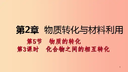 九年级科学上册 第2章 物质转化与材料利用 第5节 物质的转化 第3课时 化合物之间的相互转化课件 