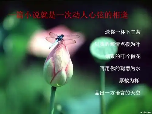 中考复习小说阅读PPT优秀课件下载(32张)