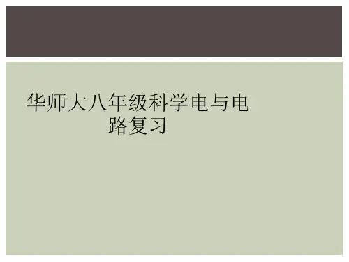 华师大八年级科学电与电路复习