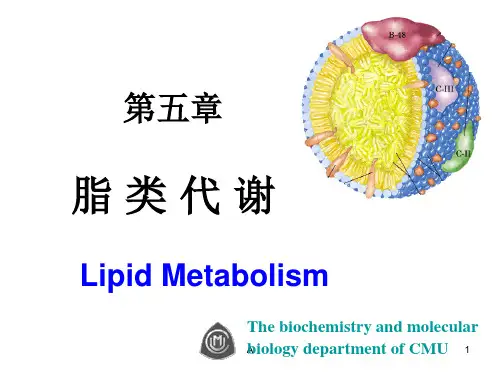 【PPT】脂类代谢