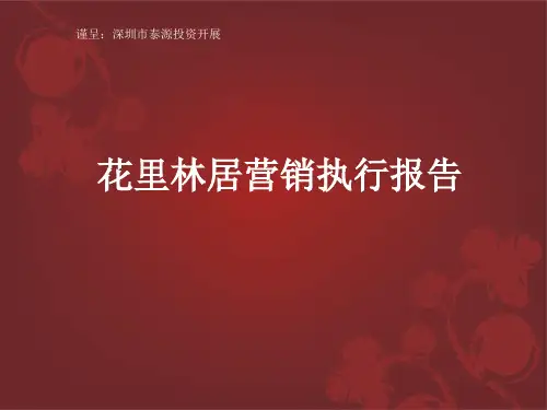 世联深圳花里林居营销执行报告