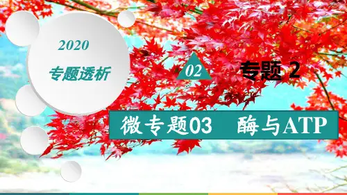 高考生物二轮复习专题2生命系统的代谢基础微专题03酶与atp课件高三全册生物课件
