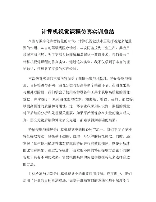 计算机视觉课程仿真实训总结