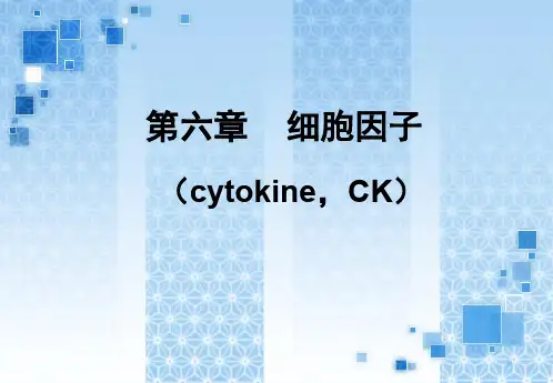 医学免疫学PPT6_细胞因子[1]课件