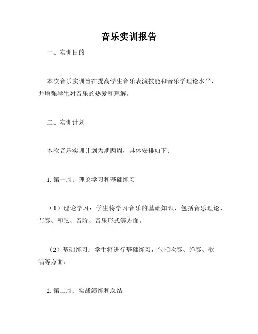 音乐实训报告