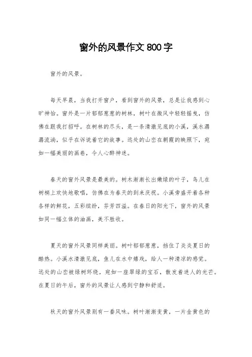 窗外的风景作文800字
