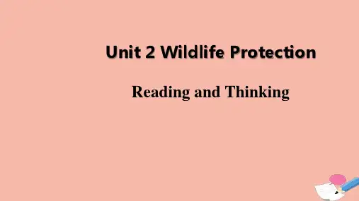 2020-2021新教材高中英语Unit2课件新人教版必修第二册 251123