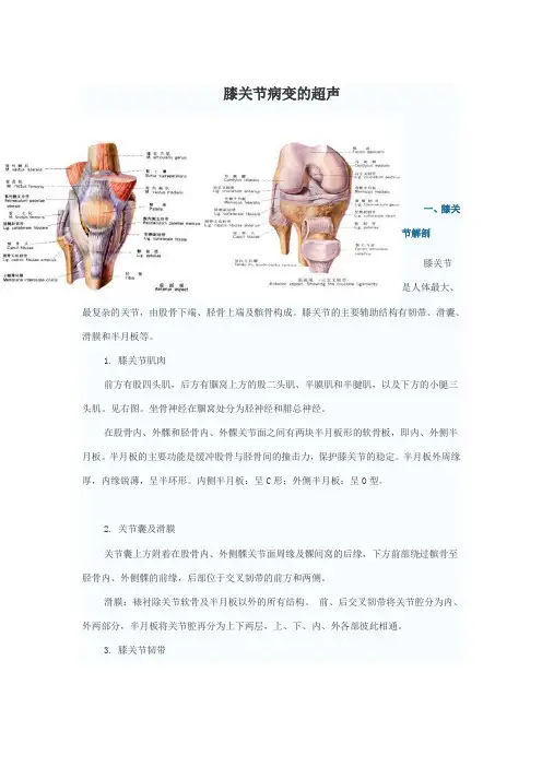 膝关节病变的超声