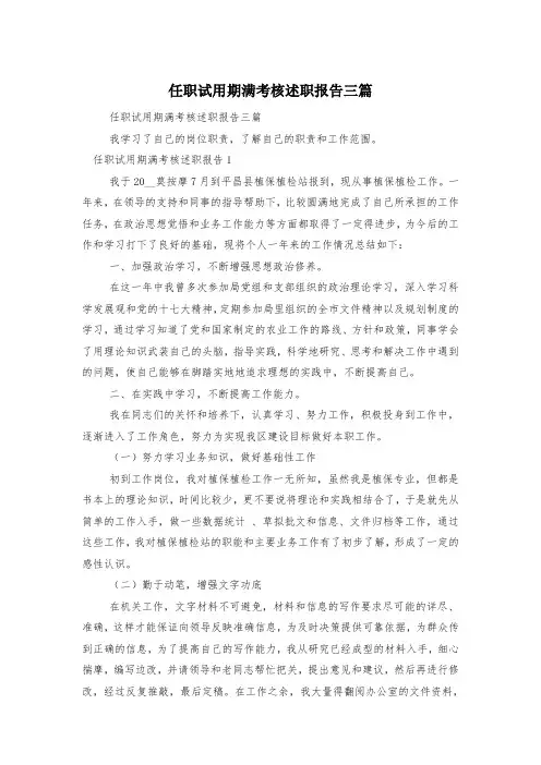 任职试用期满考核述职报告三篇