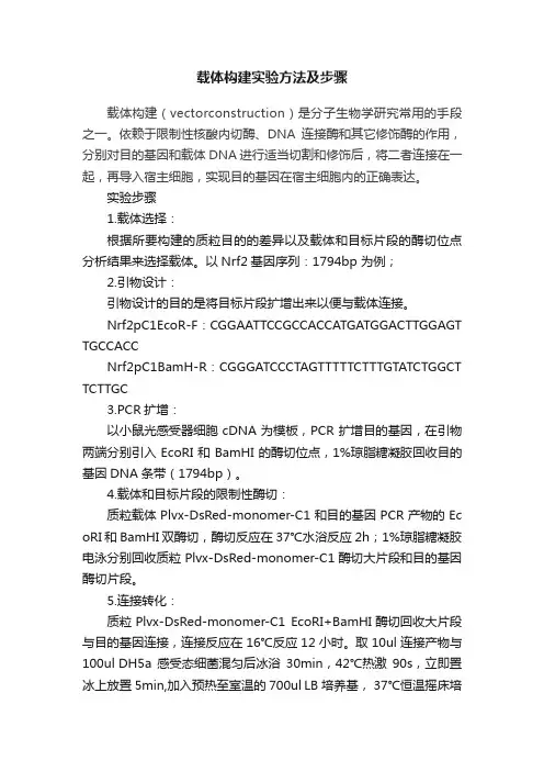 载体构建实验方法及步骤