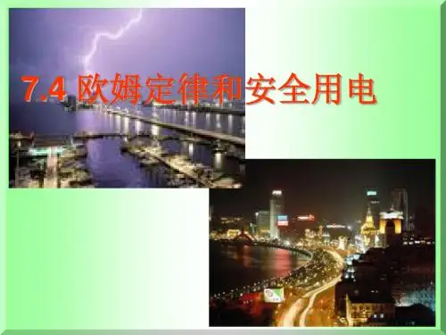 7.4欧姆定律和安全用电1