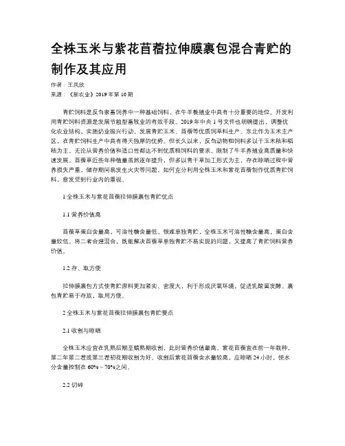 全株玉米与紫花苜蓿拉伸膜裹包混合青贮的制作及其应用