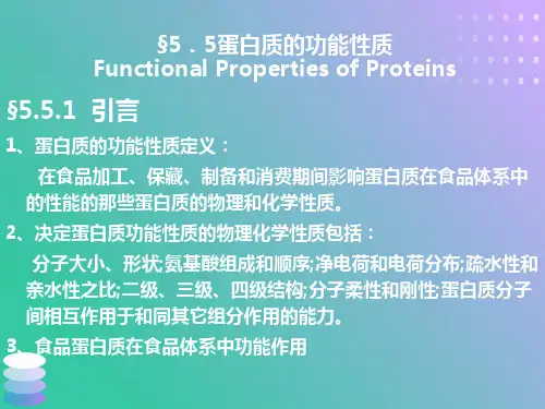 蛋白质的功能性质
