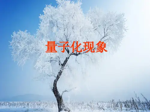 量子化现象PPT教学课件