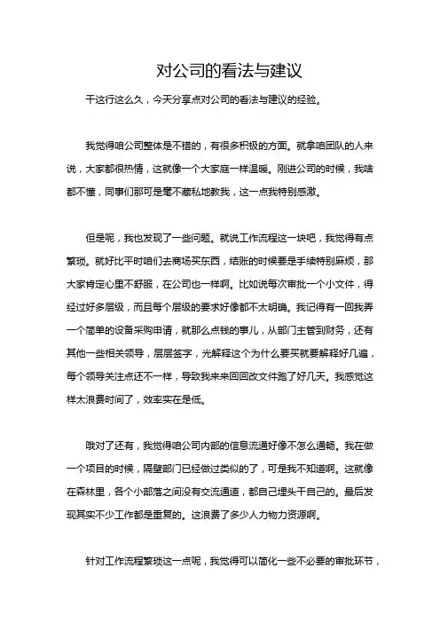 对公司的看法与建议