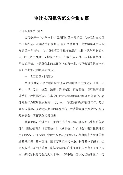 审计实习报告范文合集6篇