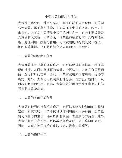 中药大黄的作用与功效