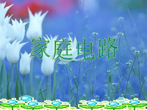 物理人教版九年级上册《19.1家庭电路》课件