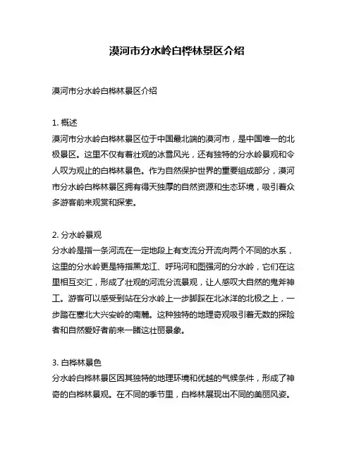 漠河市分水岭白桦林景区介绍
