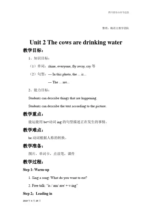 外研版小学英语六年级下册Module3 Unit2 The cows are drinking water