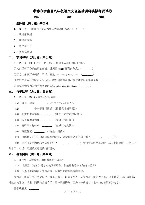孝感市孝南区九年级语文文理基础调研模拟考试试卷